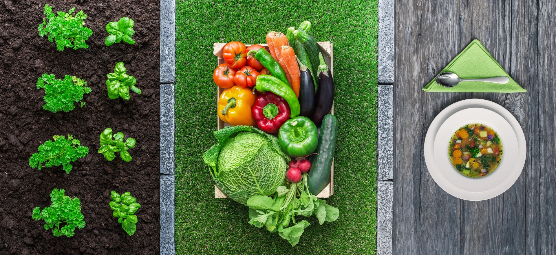 Vegetables growing in soil beside harvested produce and a plated meal.